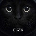 окак мем.jpg