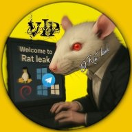 Rat_leak